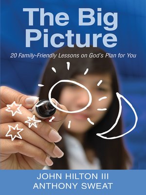 cover image of The Big Picture